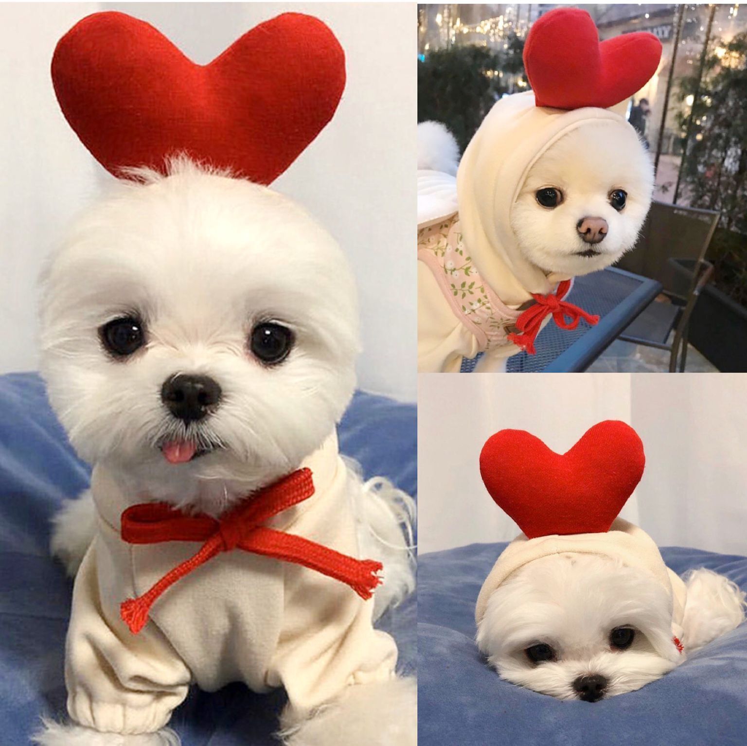 Dog Hoodies Winter Warm Fleece Pet Clothing Outfit