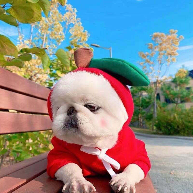 Dog Hoodies Winter Warm Fleece Pet Clothing Outfit