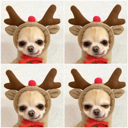 Dog Hoodies Winter Warm Fleece Pet Clothing Outfit